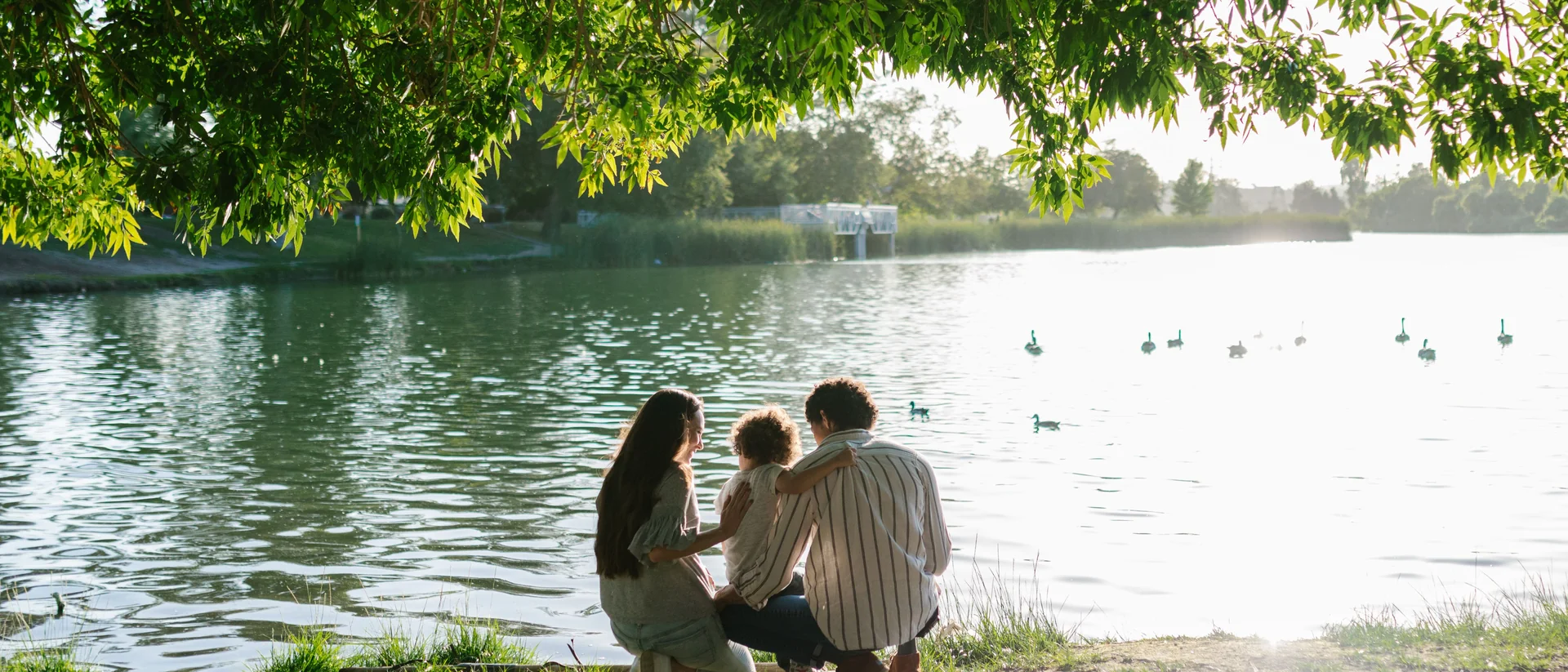 Familia sentada junto a un lago observando patos bajo un árbol