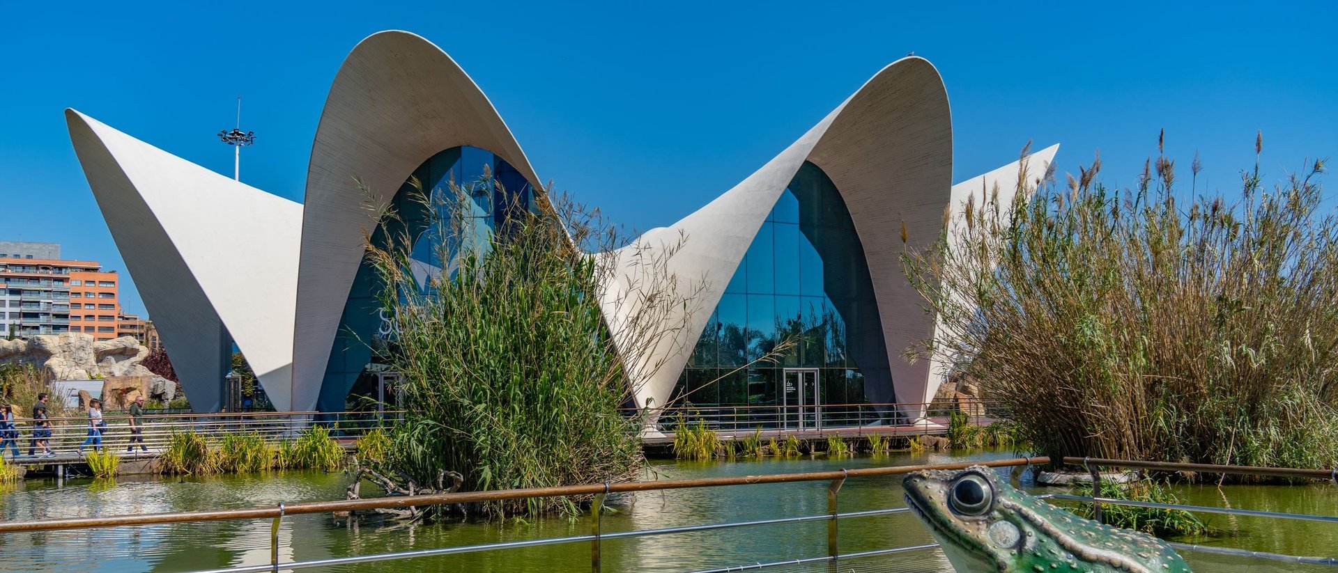 L'Oceanogràfic de Valencia, con sus característicos arcos blancos junto al agua