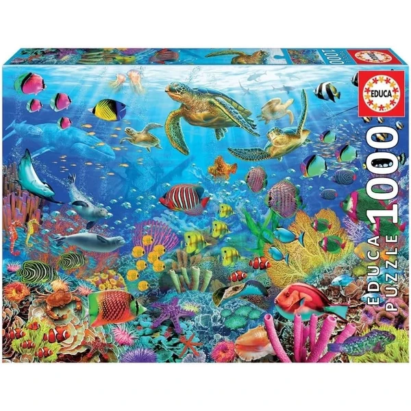 Tortugas