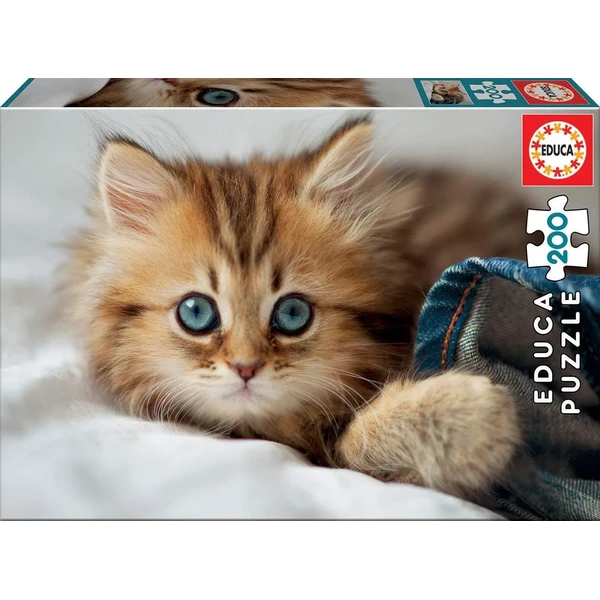 Gato