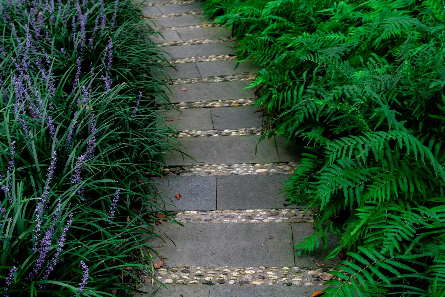 Jardín Botánico Atlántico de Gijón