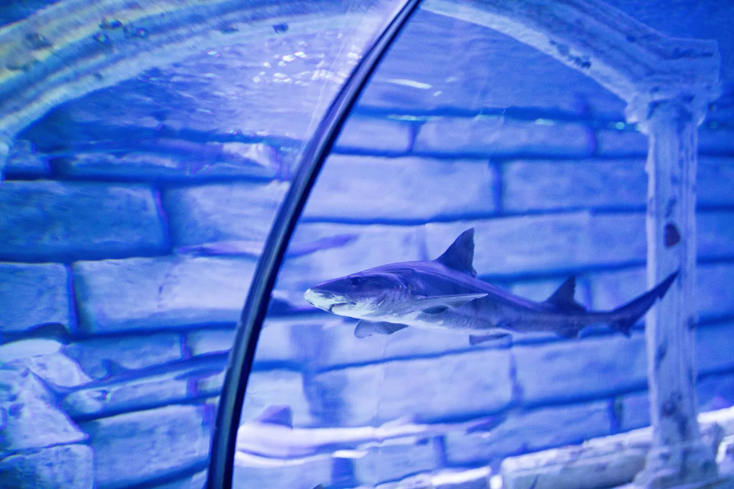 Aquarium Barcelona