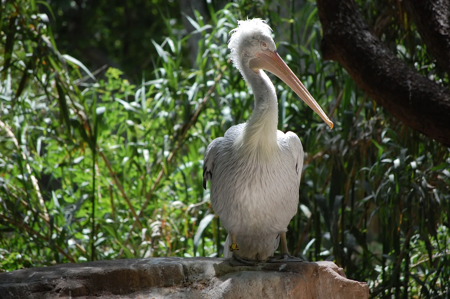 Zoo de Barcelona