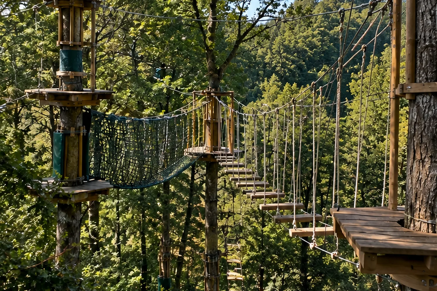 Forestal Park Santander