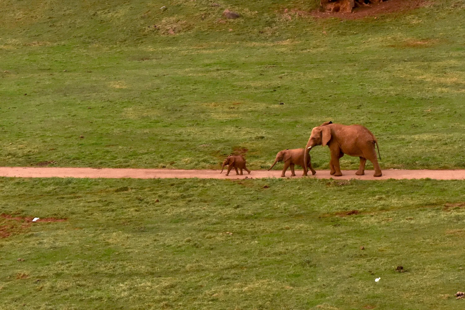 Parque de la Naturaleza de Cabárceno