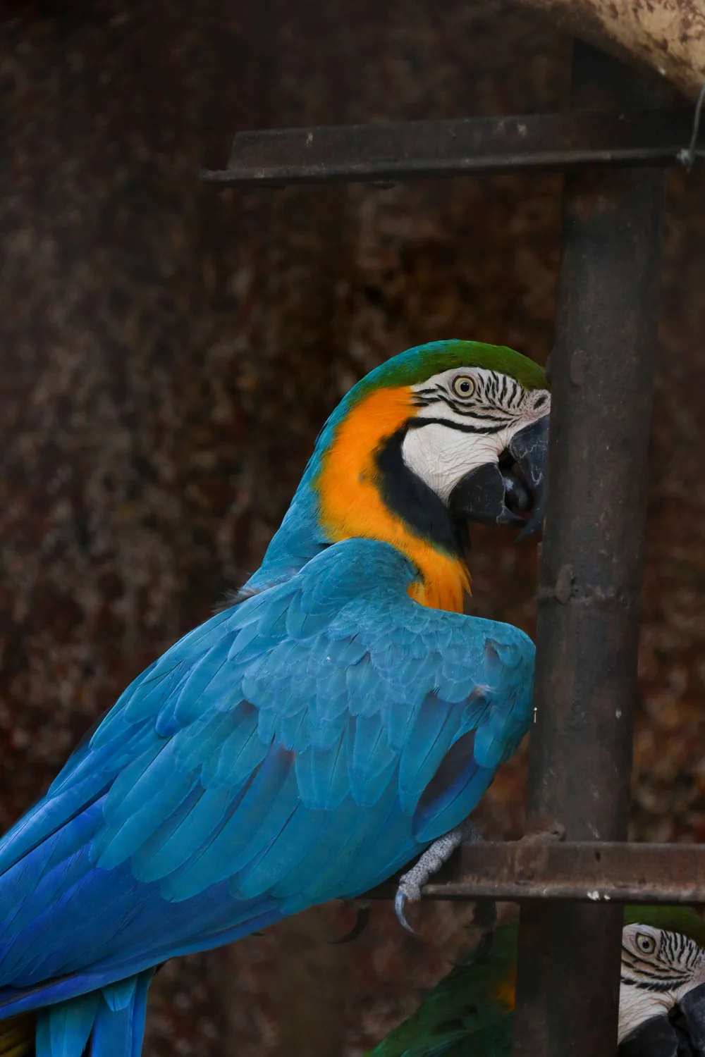 Jardín del Papagayo