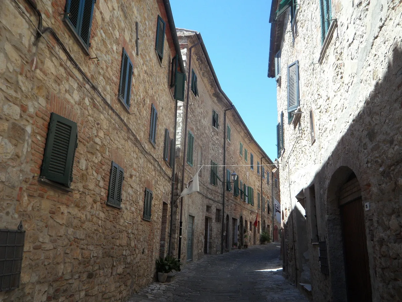 Morella