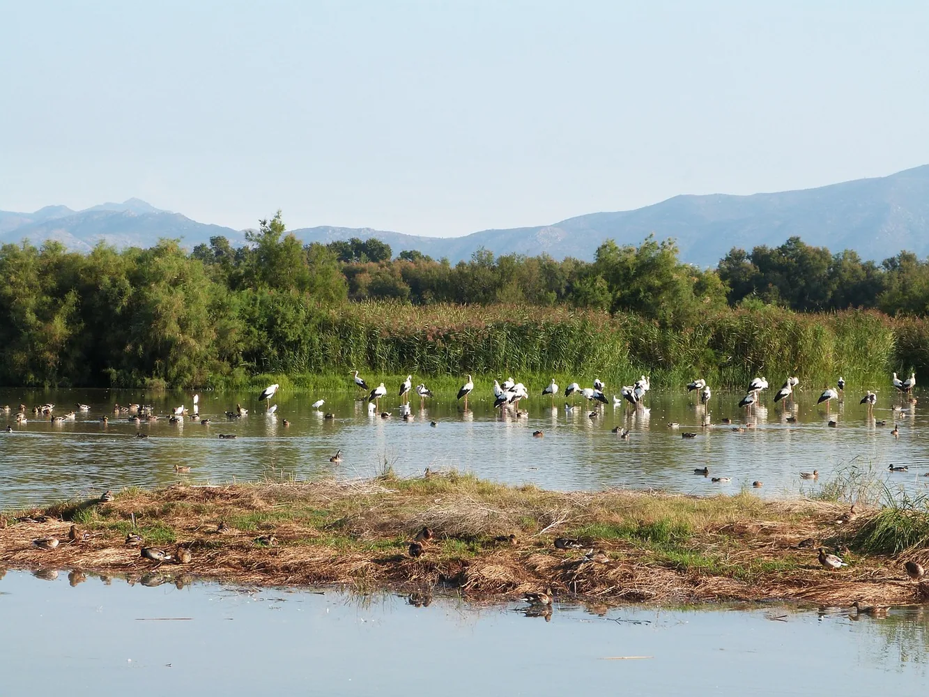 Parc Natural dels Aiguamolls de l'Empordà