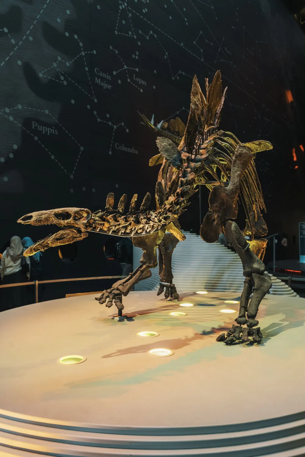 Dinosfera