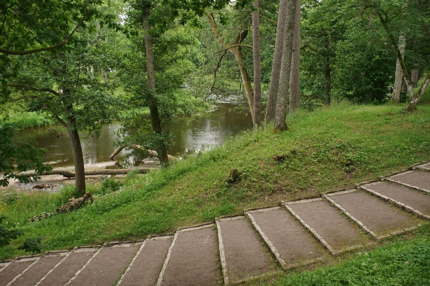 Parc de la Mitjana