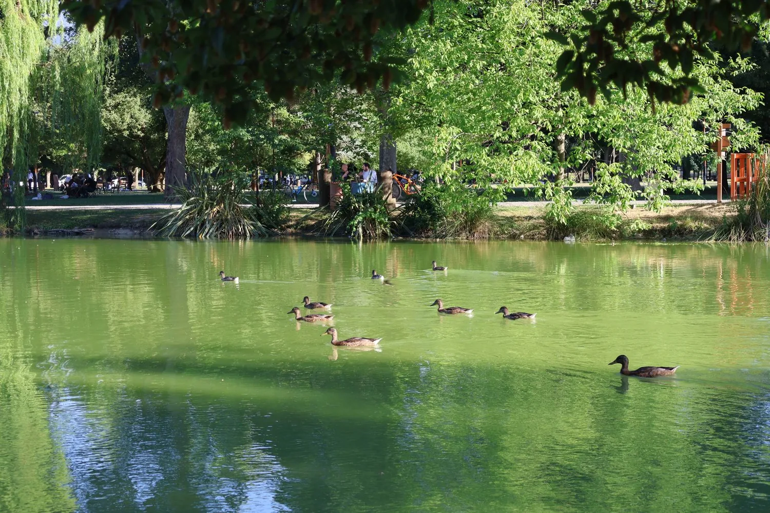 Parque Rosalía de Castro