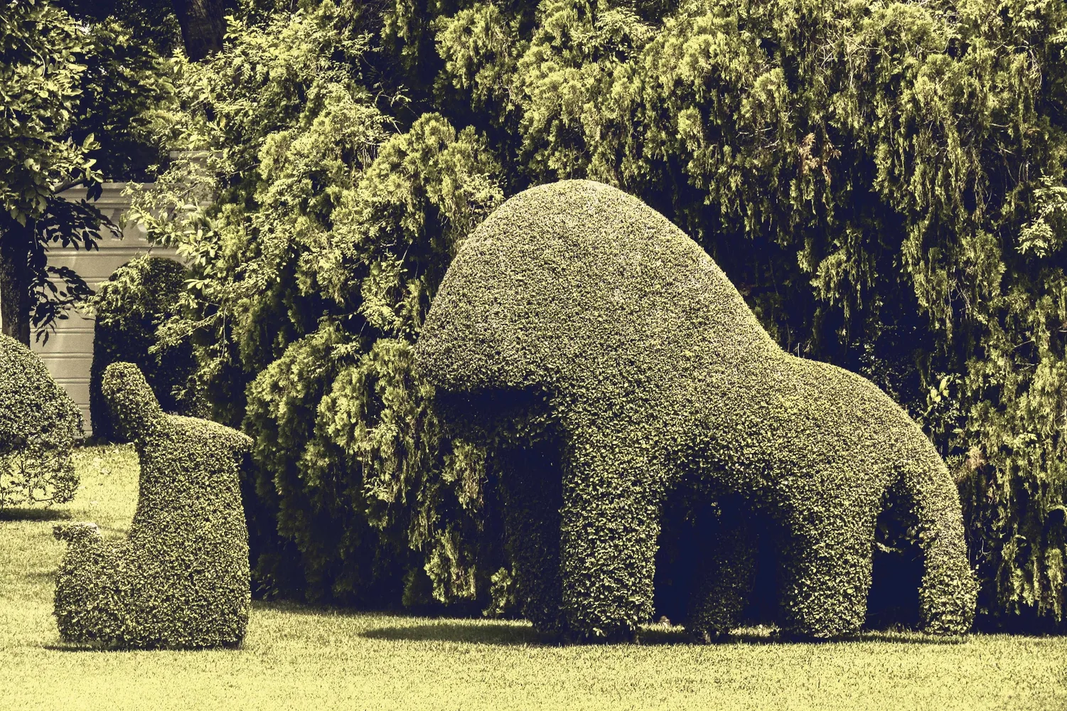 El Bosque Encantado