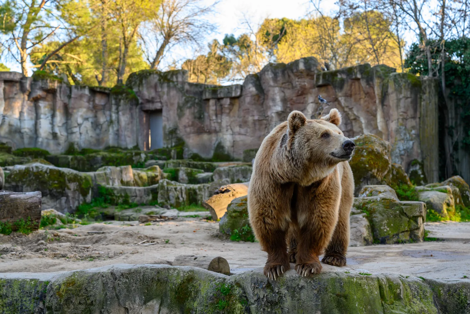 Zoo Aquarium de Madrid