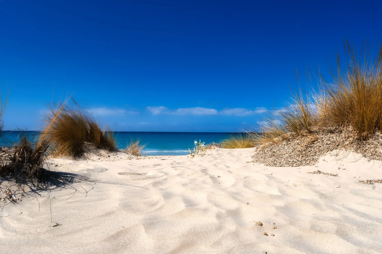 Platja Llarga