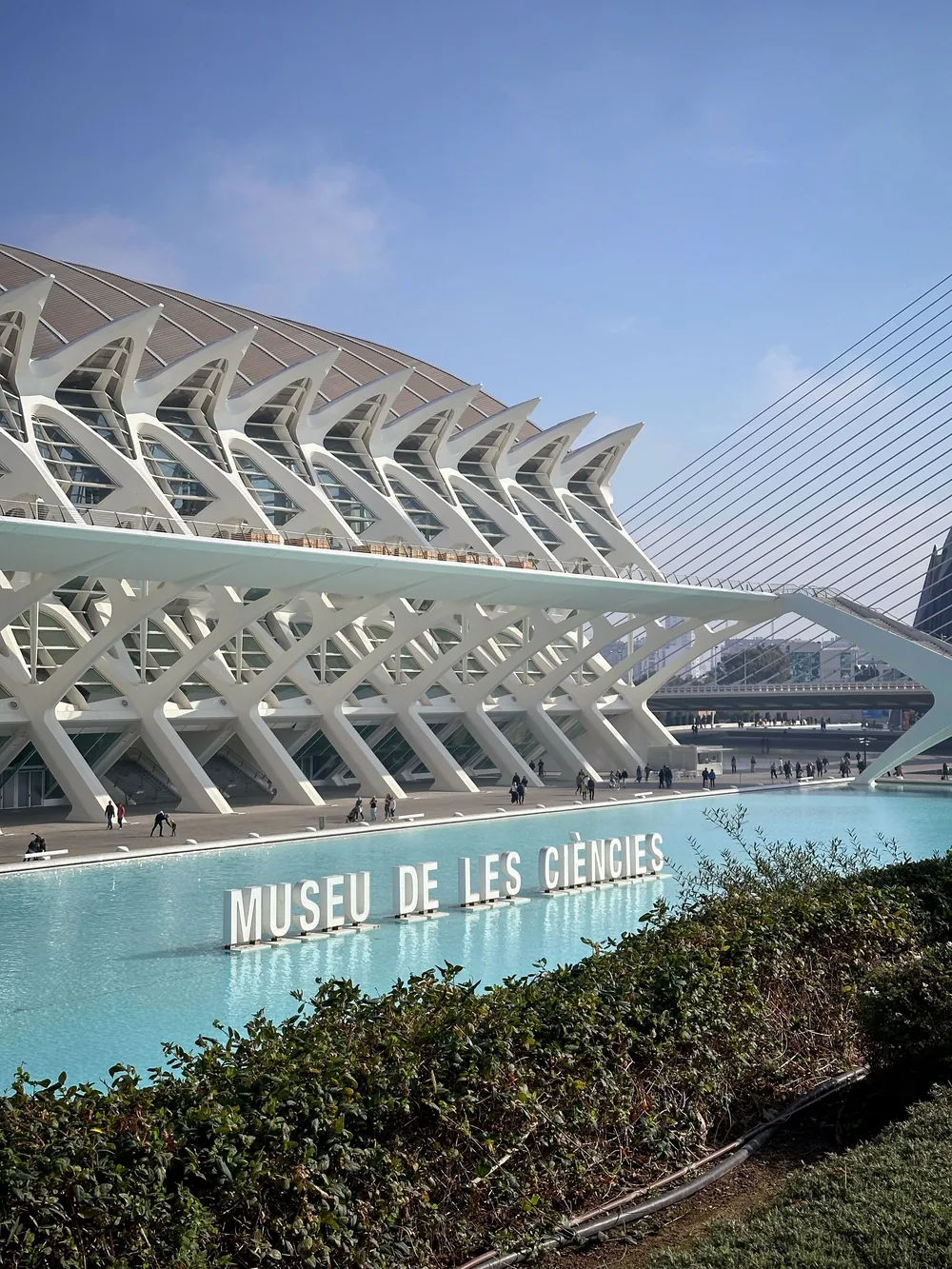 Museu de les Ciències Príncipe Felipe